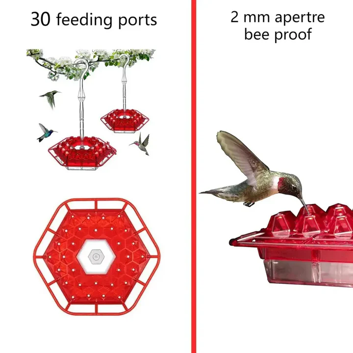 Colorful Outdoor Hanging Bird Feeder with Ant Trap