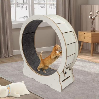 Fun Pet Running Wheel