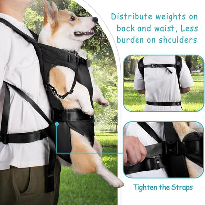 Pet Carrier Hiking Backpack