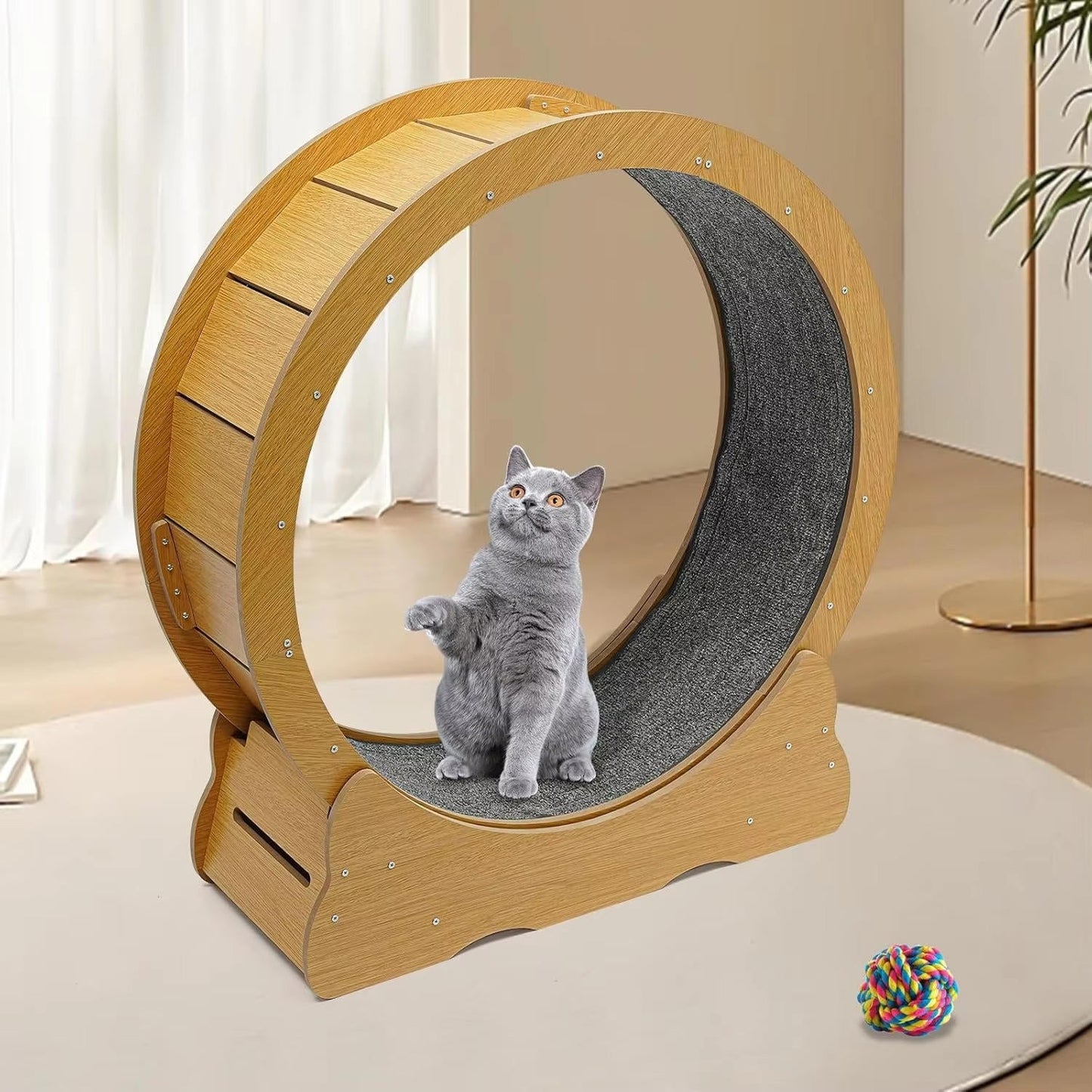 Fun Pet Running Wheel