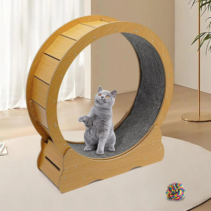 Fun Pet Running Wheel