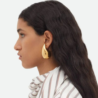 Sparkling Teardrop Earrings - Pexav