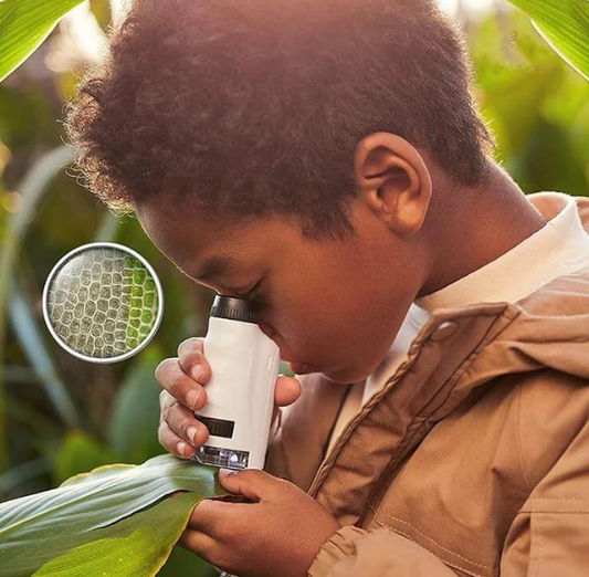 Compact Children's Handheld Mini Microscope - Pexav