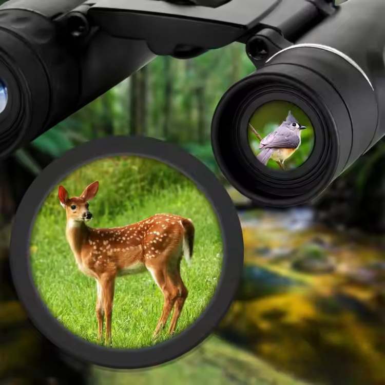 Compact 40x22 HD Binoculars for Birding & Outdoor Use