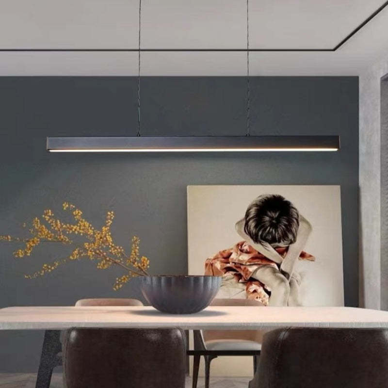 Simple Modern Adjustable LED Light Fixture
