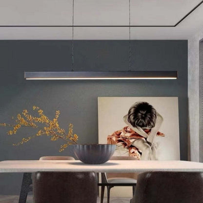 Simple Modern Adjustable LED Light Fixture