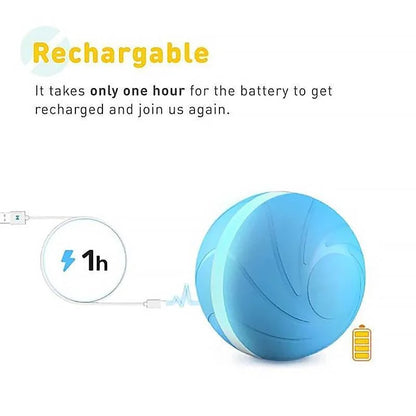 Fun Interactive Pet Ball Toy