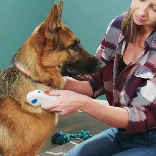 Fast Pet Flea Removal Tool - FleaZap - Pexav