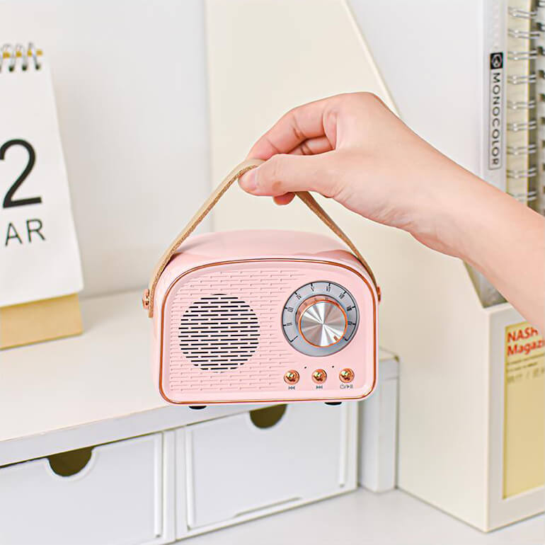 Classic Wireless Speaker with FM Radio