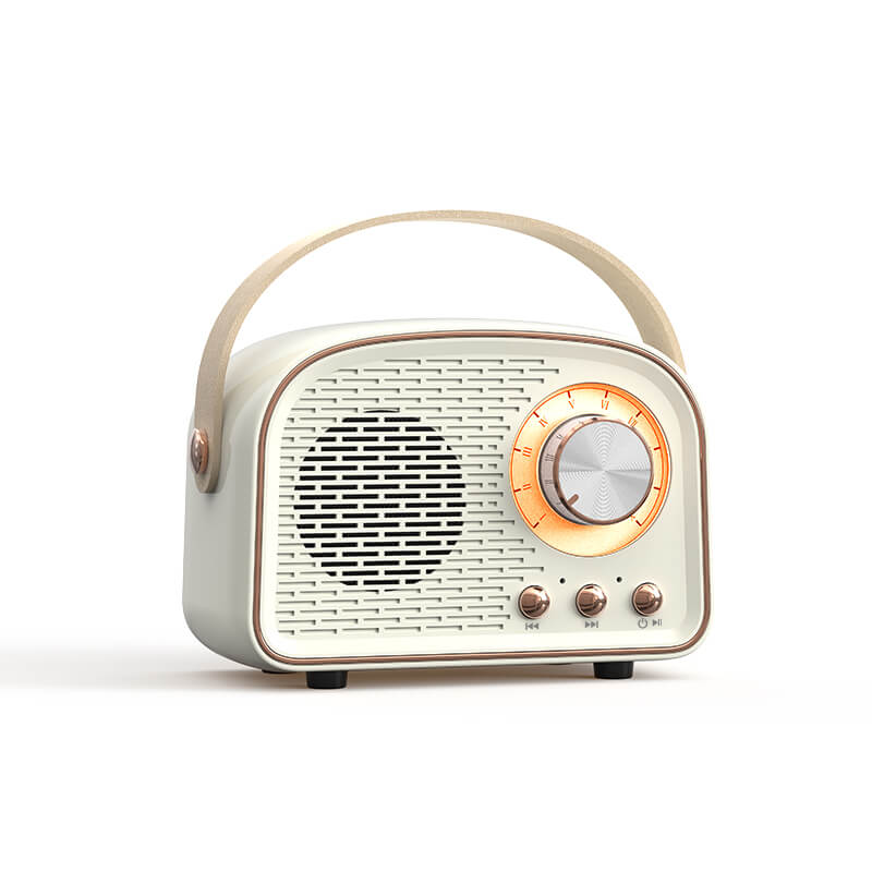 Classic Wireless Speaker with FM Radio