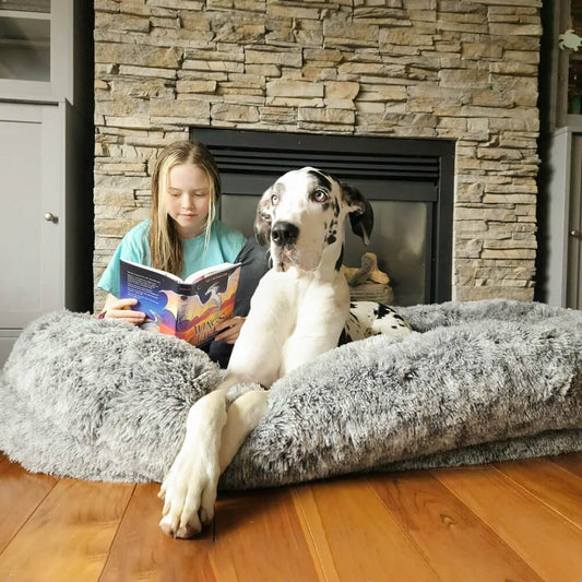 Extra Large Plush Pet Oval Bed for Humans Dogs - Pexav
