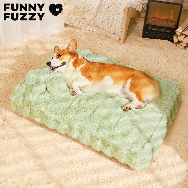 Soft Cozy Pet Dog Bed with Pillow - Pexav