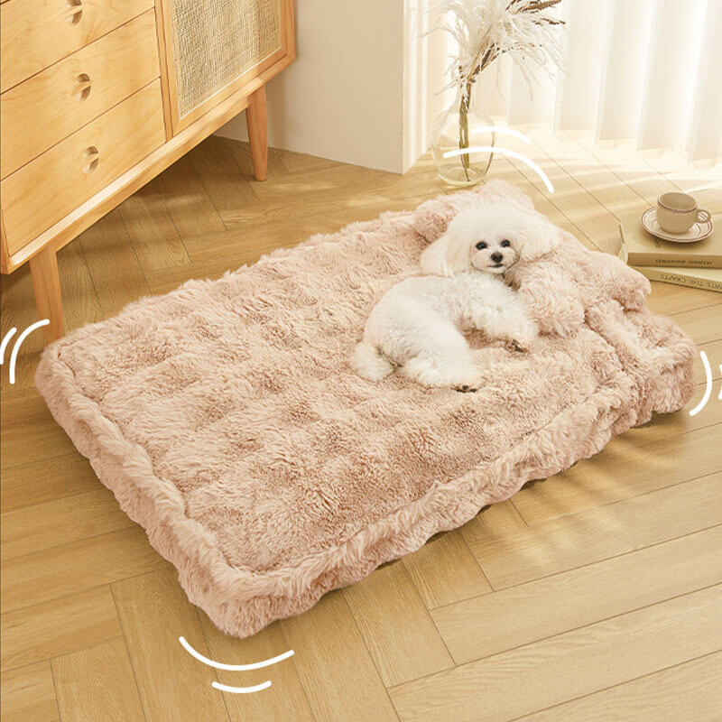 Soft Cozy Pet Dog Bed with Pillow