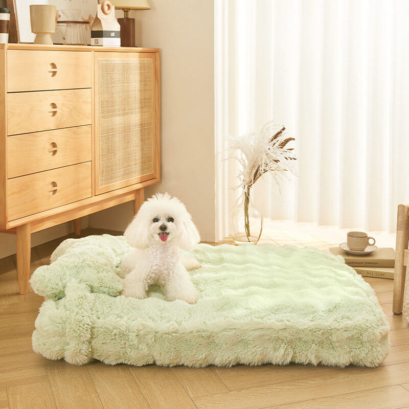 Soft Cozy Pet Dog Bed with Pillow