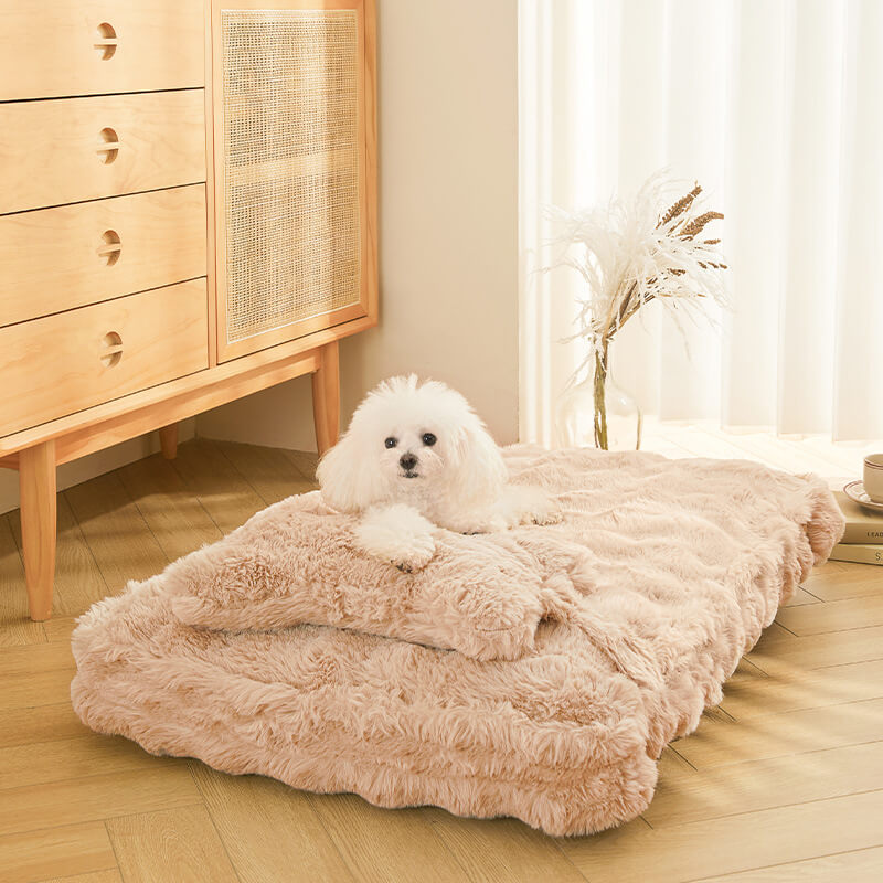 Soft Cozy Pet Dog Bed with Pillow