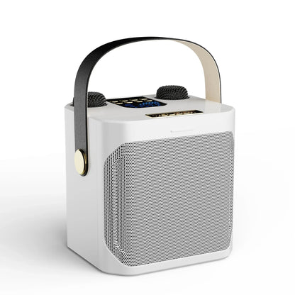 Wireless Outdoor Bluetooth Party Speaker