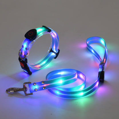 Bright LED Pet Collar with Leash - Night Safety - Pexav