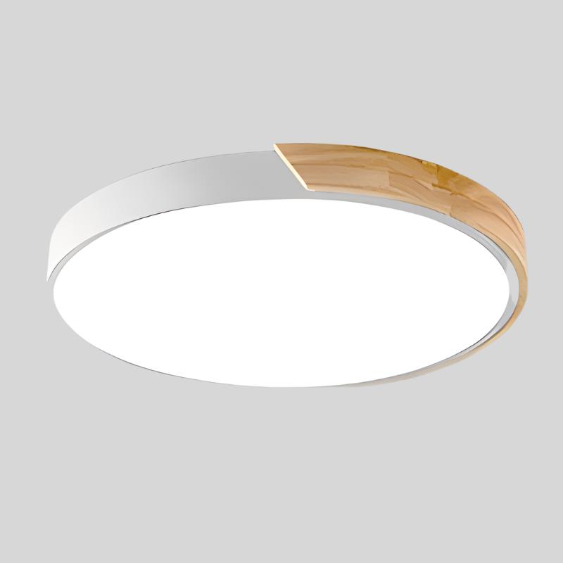 Simple White LED Ceiling Fixture Flush Mount Light