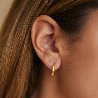 Hammered Earrings - Livia-Nora Luxe