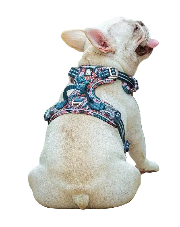 Strong & Adjustable Pet Harness - Pexav