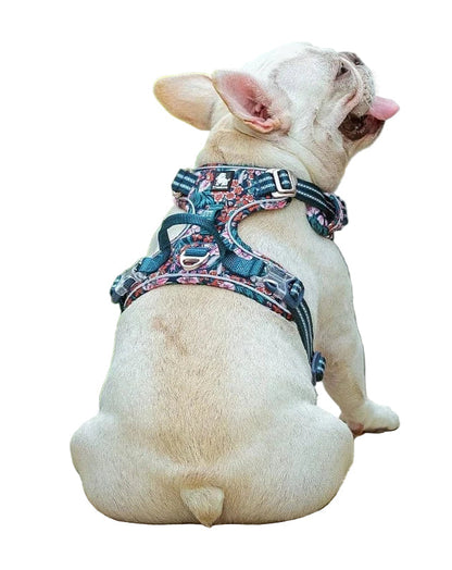 Strong & Adjustable Pet Harness - Pexav