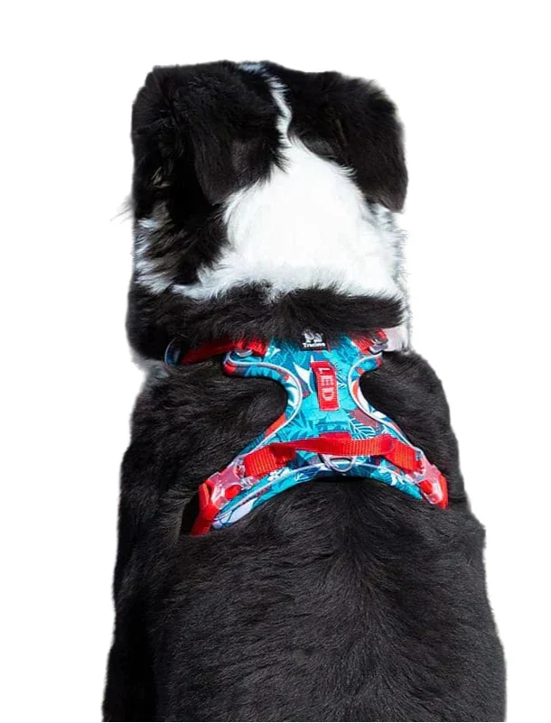 Strong & Adjustable Pet Harness