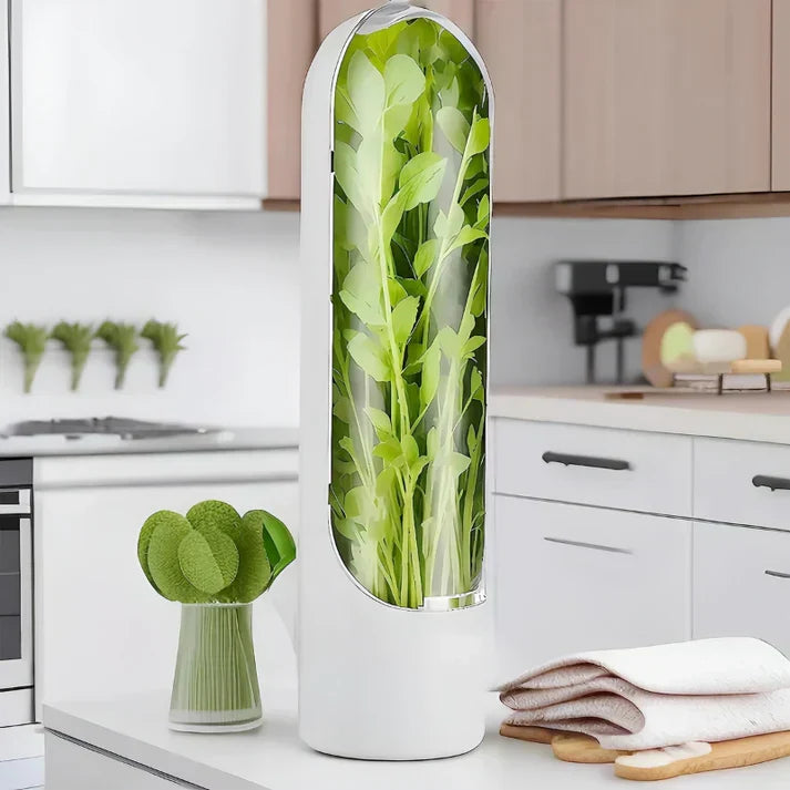 Herb Storage Box - FreshKeep-Nora Luxe