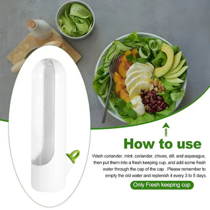 Herb Storage Box - FreshKeep-Nora Luxe