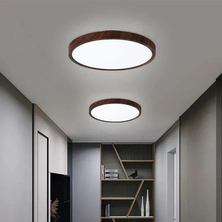 Stylish Round LED Ceiling Lamp Adjustable Brightness