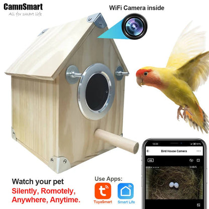 Wireless Outdoor Birdhouse Camera Kit with Live Feed