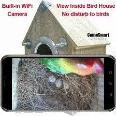 Wireless Outdoor Birdhouse Camera Kit with Live Feed