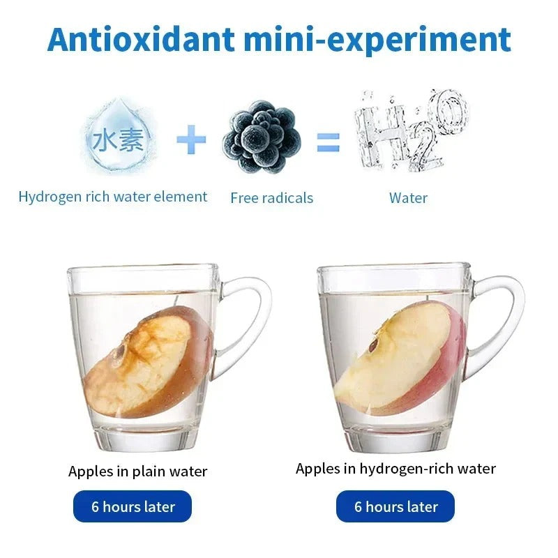 Alkaline Filtered Water Bottle