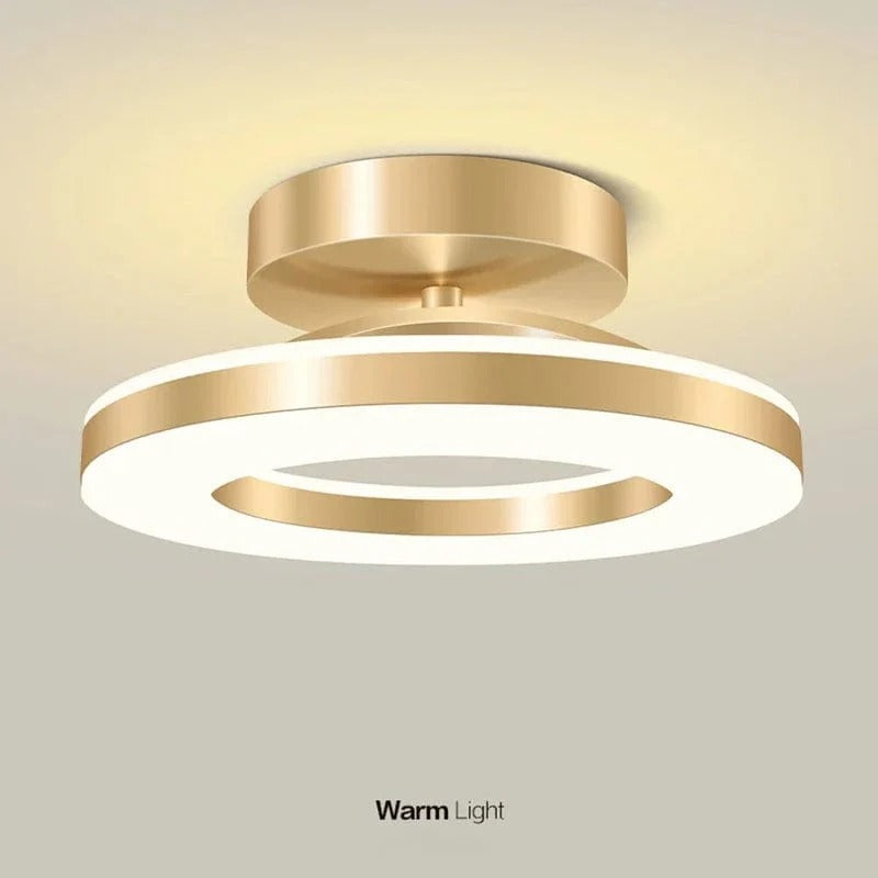 Bright Modern Overhead LED Light