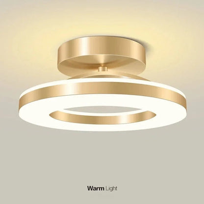 Bright Modern Overhead LED Light