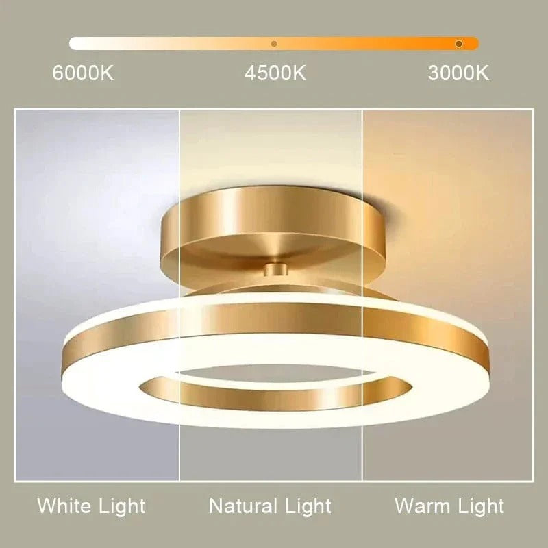 Bright Modern Overhead LED Light