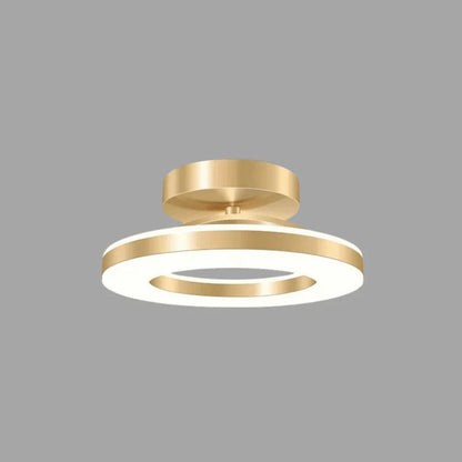 Bright Modern Overhead LED Light