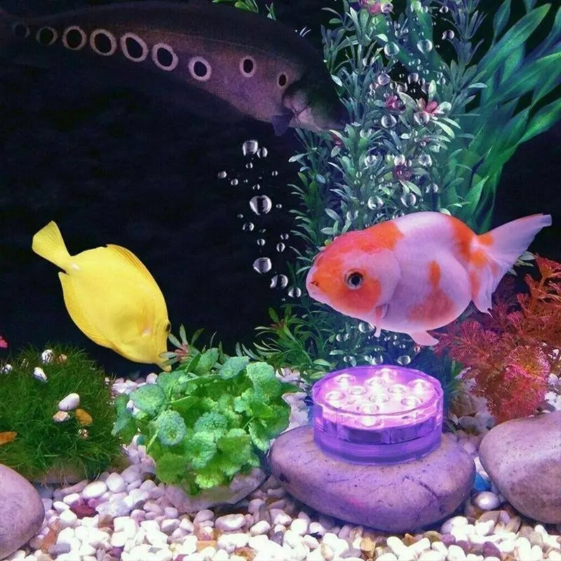 Waterproof Underwater LED Lights