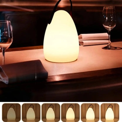 Wireless Outdoor LED Desk Light