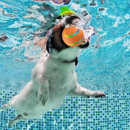 Fun Pet Rolling Ball Toy for Dogs and Cats