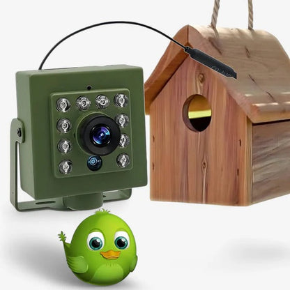 Wireless Outdoor Birdhouse Security Camera