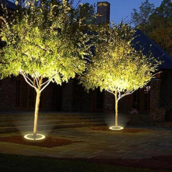 Bright Garden Tree Light - Pexav