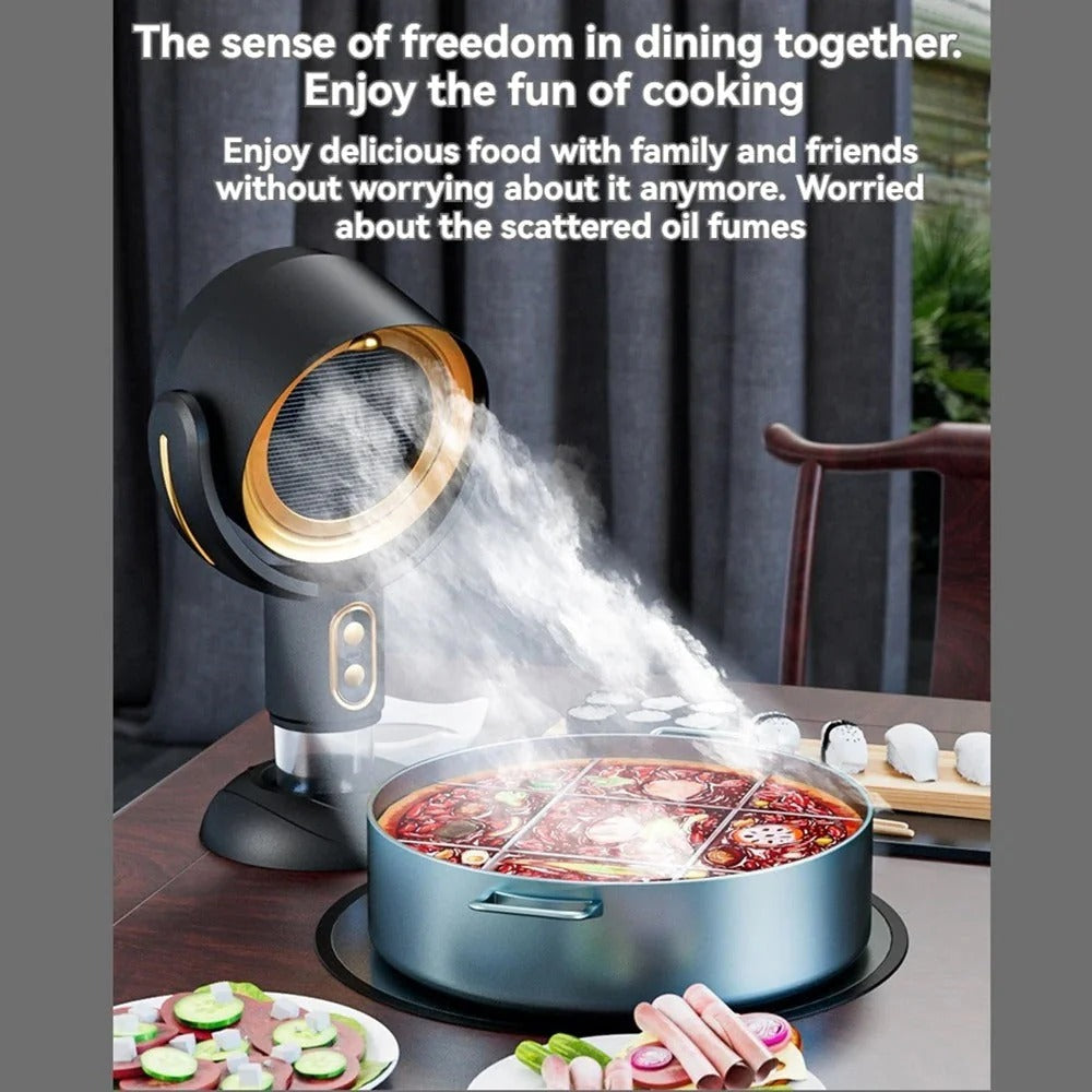 Clean Air Circulator Fan
