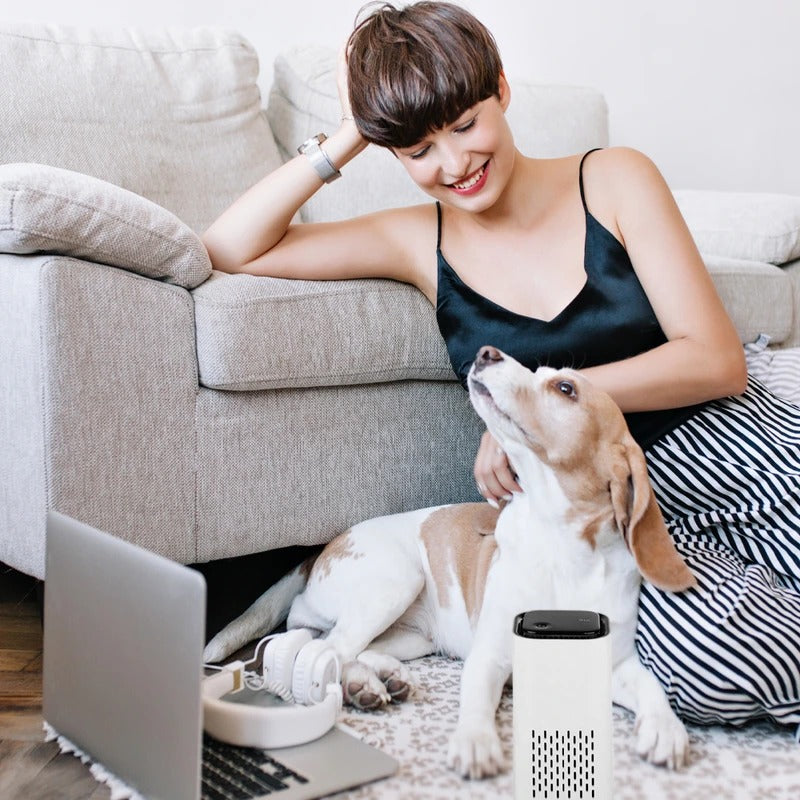 Animal Friendly Home Air Cleaner