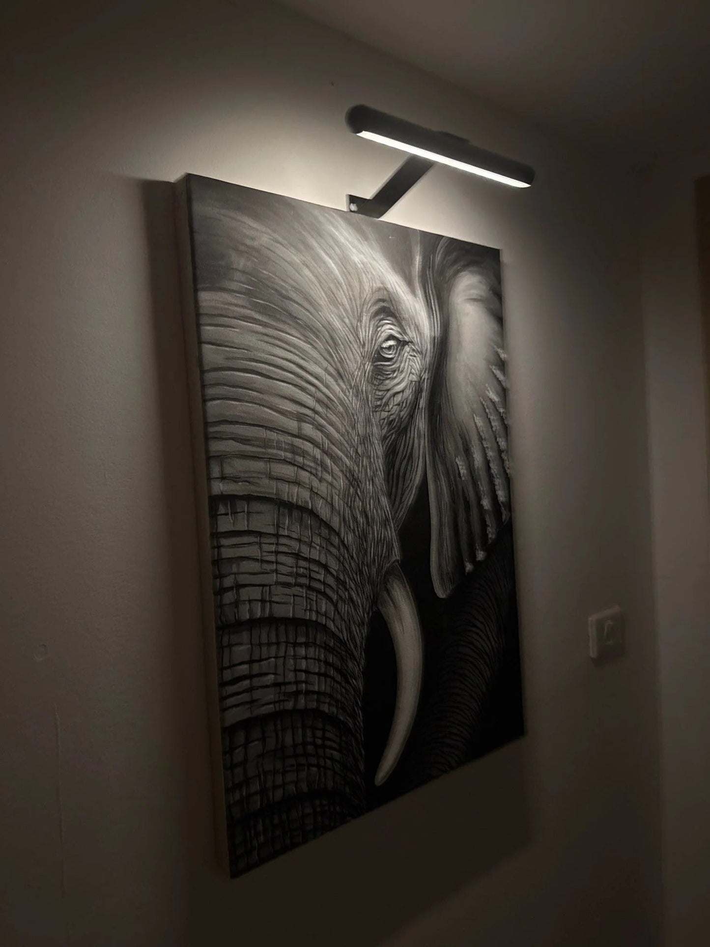 Slim Battery Powered Photo Lamp