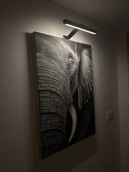 Slim Battery Powered Photo Lamp