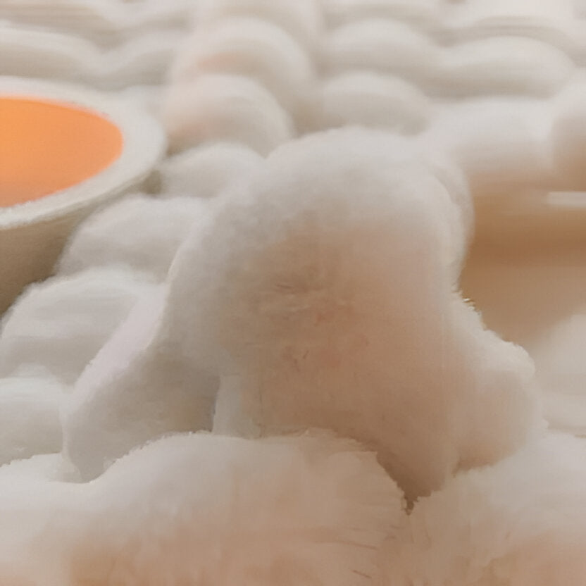 Stylish Year-Round Throw Blanket