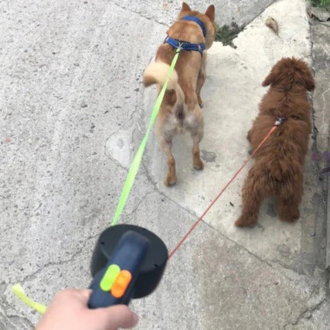 Reflective Pet Leash with LED – Tangle Free Swivel Harness