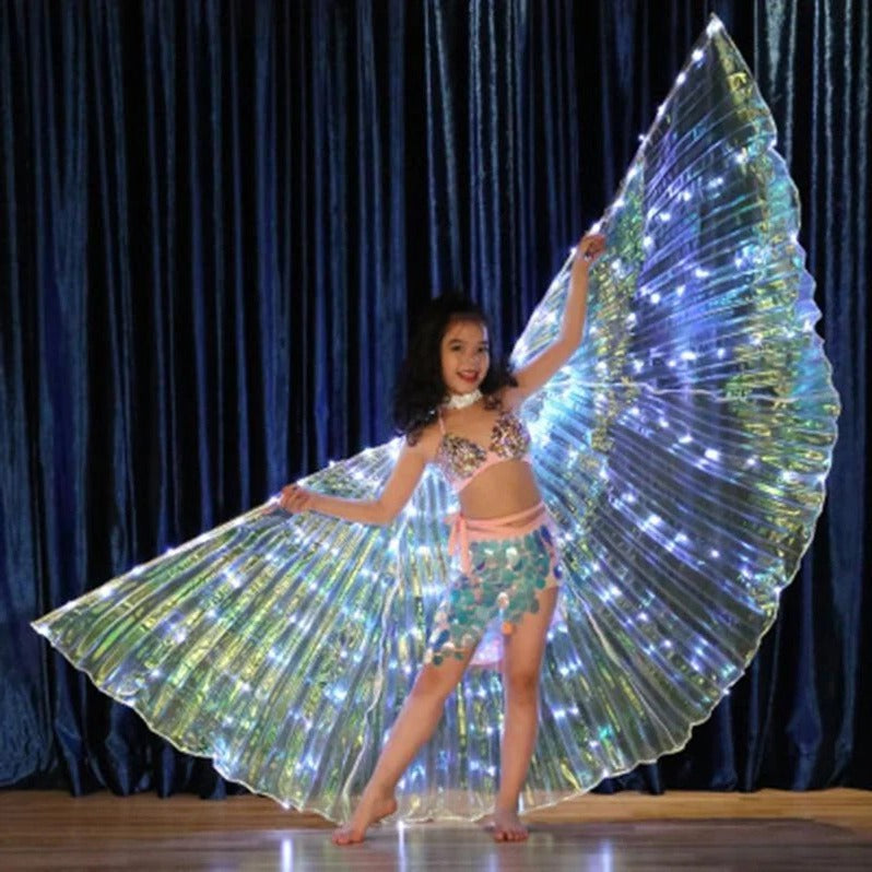 Colorful LED Fairy Light Wings