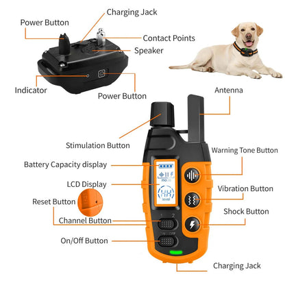 Rechargeable Wireless Pet Training Collar