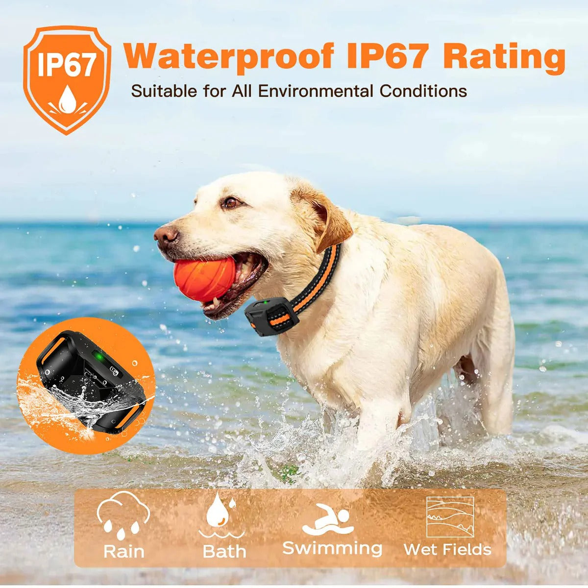Rechargeable Wireless Pet Training Collar